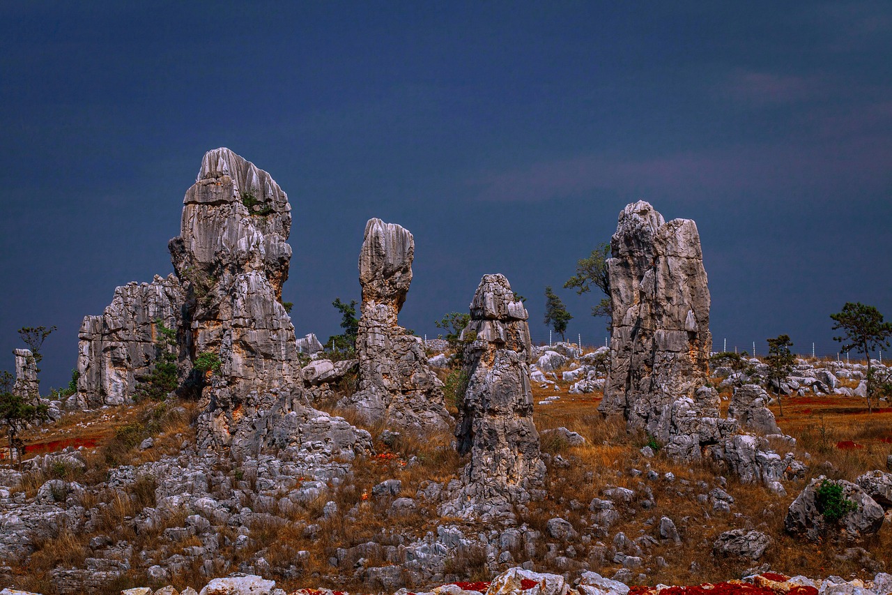 旱季石林 · Stone Forest, Dry Season