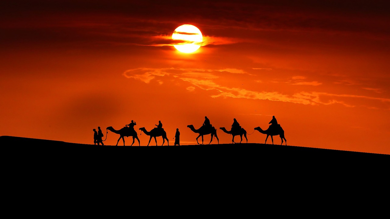 驼队 · Camel Caravan