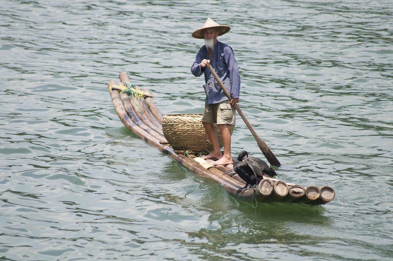 漓江渔翁鸬鹚 · Cormorant Fisherman on the Li River