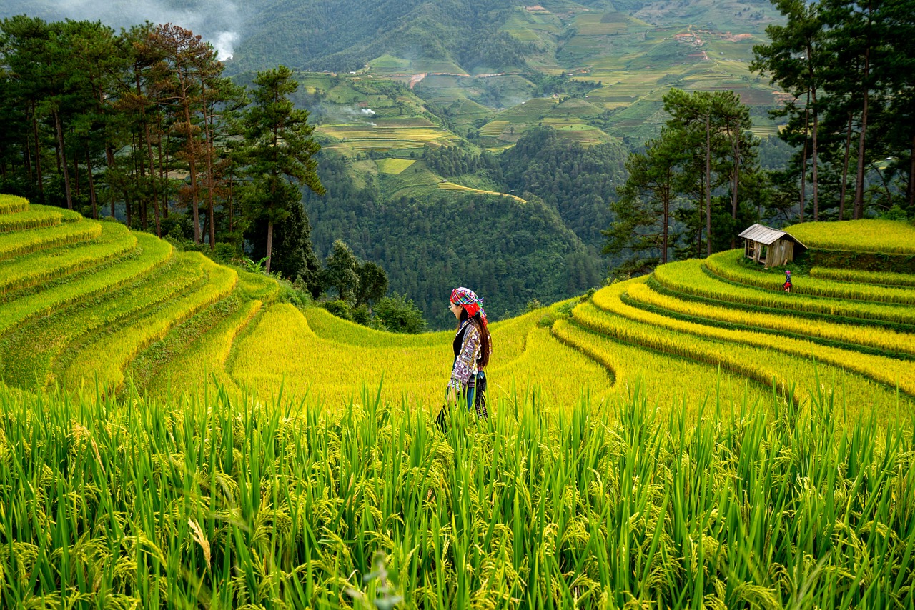 龙脊梯田 · Longji Rice Terraces