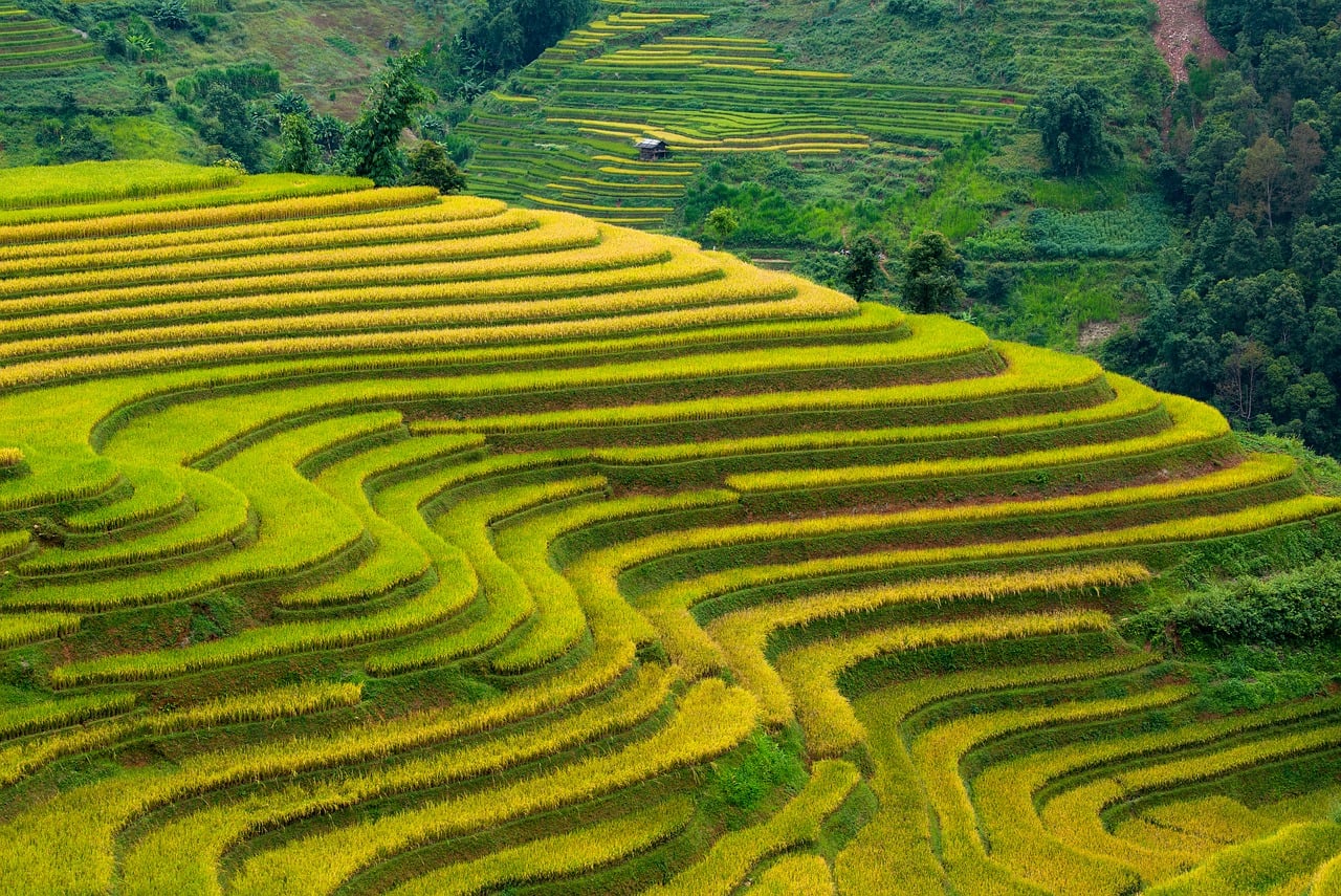 龙脊梯田 · Longji Rice Terraces